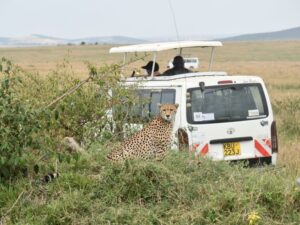 2 Days Mini Safari Tsavo East