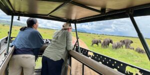 Travel Tips for Friends Visiting Kenya from Spain33