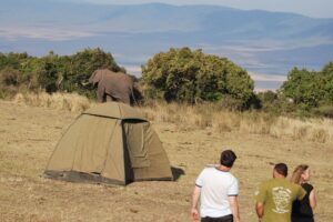 Savannah landscape of Kenya Masai Mara National Reserve with wildlife