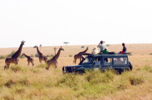 Safari In Kenya Quando Andare – Periodo Migliore e Consigli
