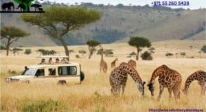 affordable-kenya-safari-packages 2024