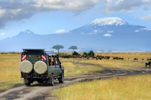 Kenya Beach and Safari Experience: Ultimate Journey 2025-26