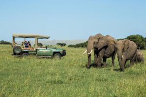 Kenya Safari & Sea Adventure – Ultimate Wildlife & Beach Trip