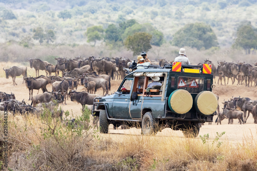 Self-Drive Safari Experience – 2-Week Kenya Safari Itinerary