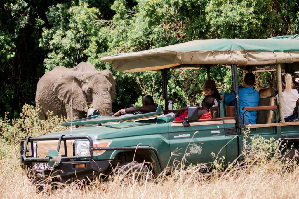220325170048 04 cottars safaris kenya body Luxury safari lodge in Kenya with wildlife view — cost guide and travel experience