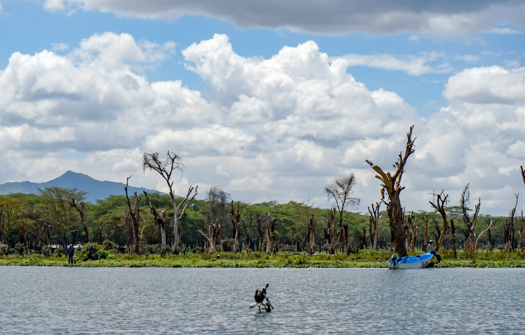 Lake Naivasha Kenya 44542501030 Lake Naivasha view with hippos and boat safari during a 2-week Kenya safari itinerary in Kenya’s Great Rift Valley