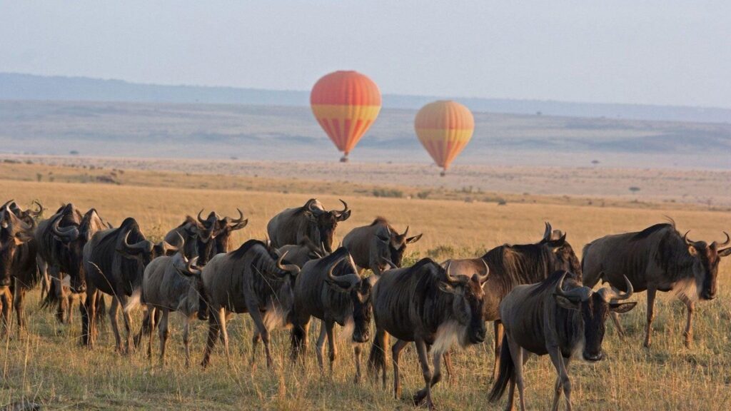 caption 2 Scenic drive from Nairobi to Maasai Mara on a 2-week Kenya safari itinerary, showing savannah landscapes and safari jeeps en route to the reserve