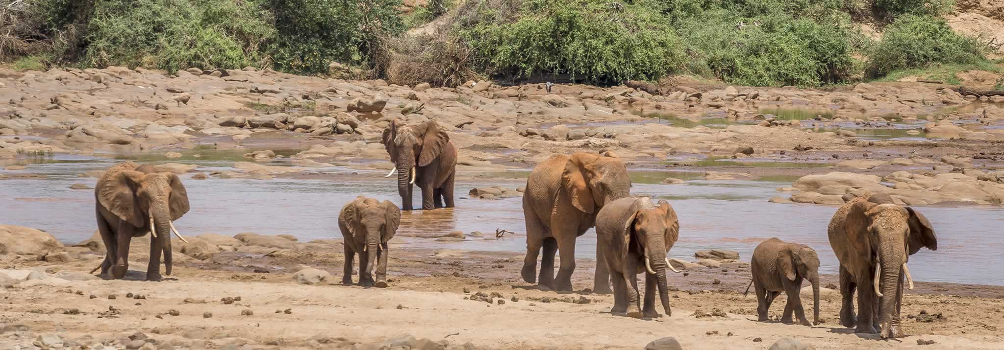 12 Let's Explore Kenya safari holiday with wildlife