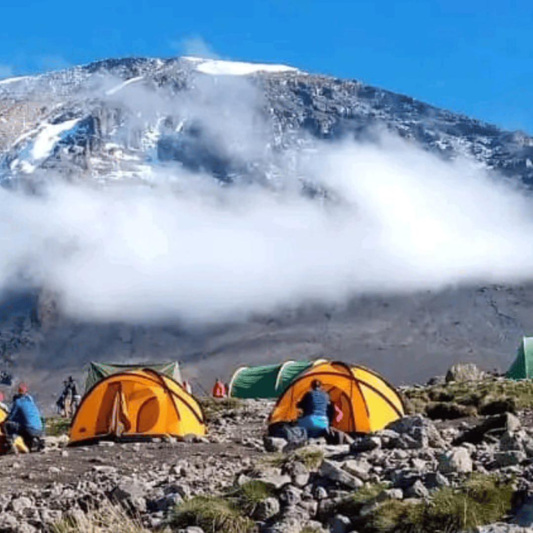 155 7-Day Kilimanjaro Trek from Kilimanjaro Airport