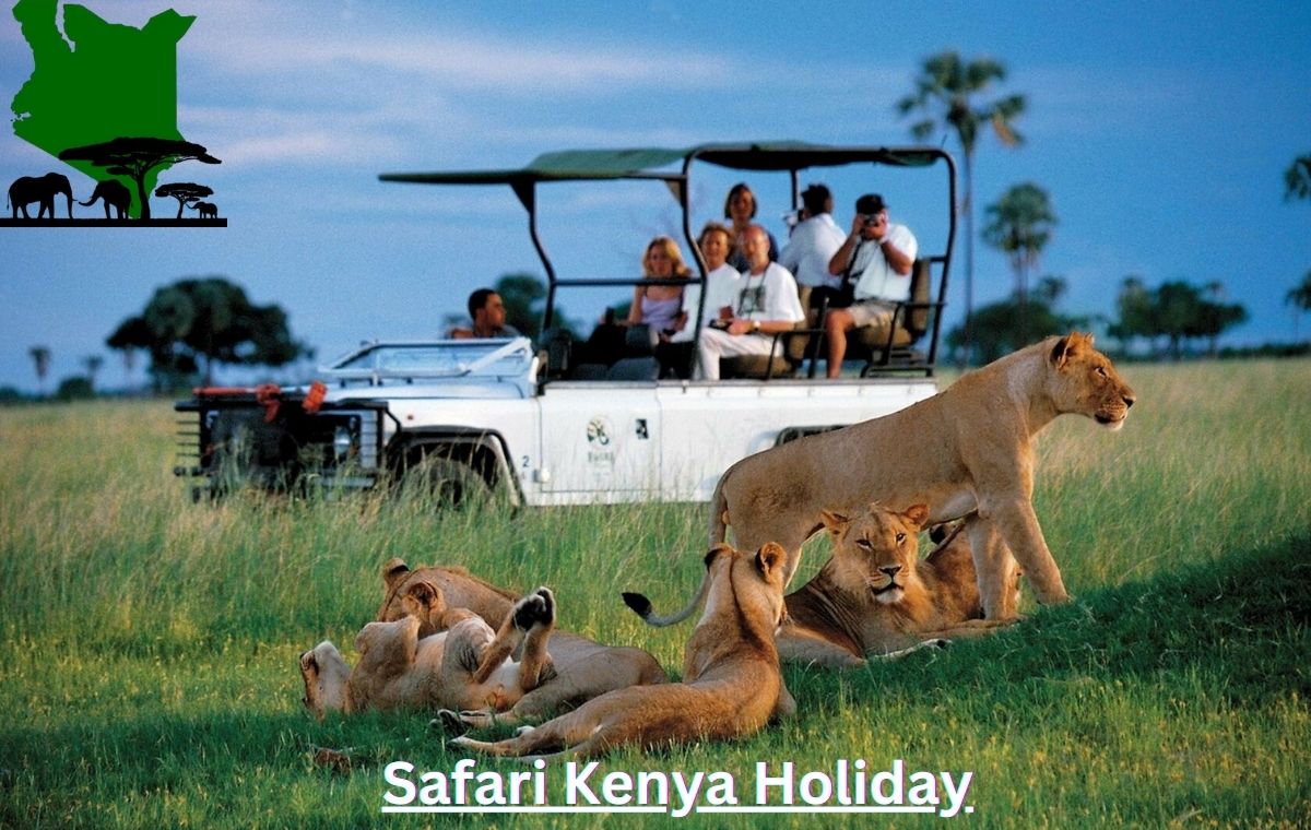 kenya safari tours