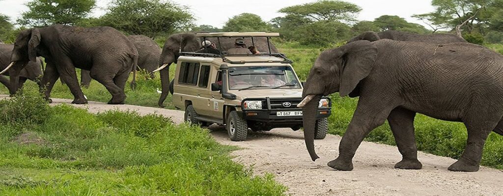 serengeti national park Kenya Safari from Mombasa