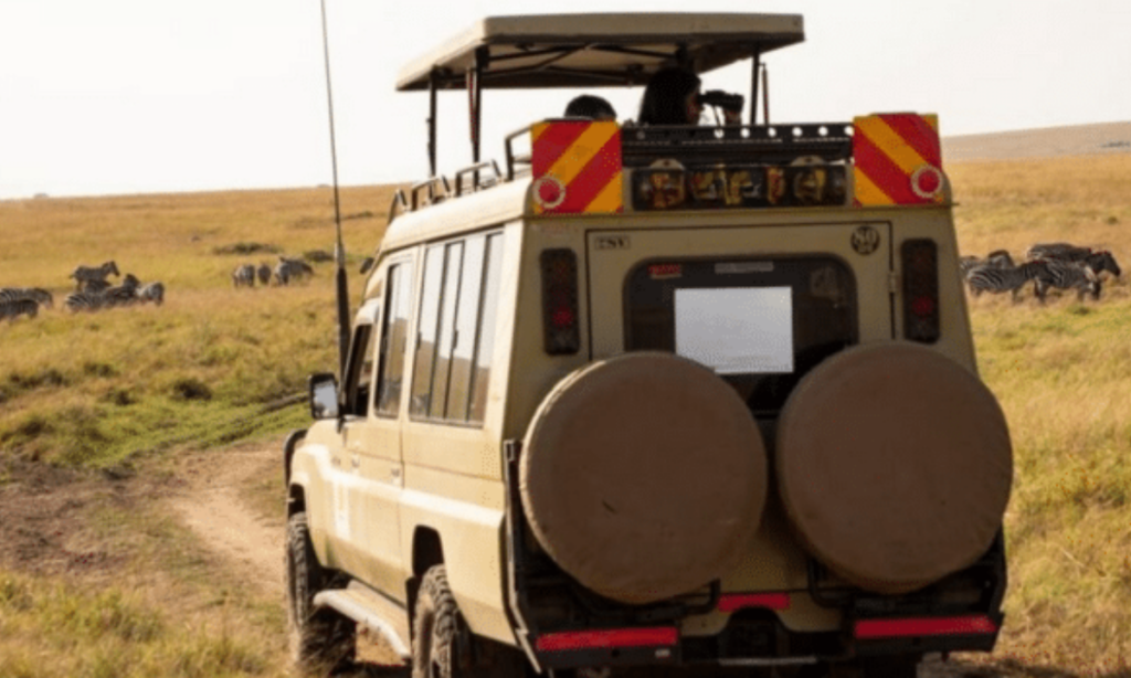 33 1 1 How to Choose the Right Safari Company in Kenya