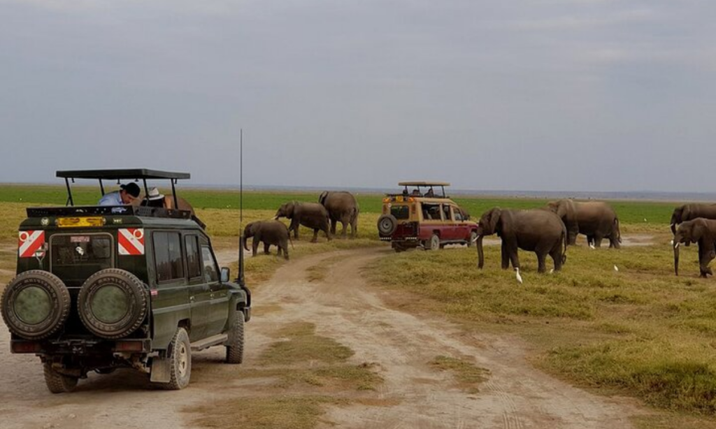 7 Days Kenya Safari Itinerary 2026 7 Giorni Di Safari In Kenya Itinerario 2026