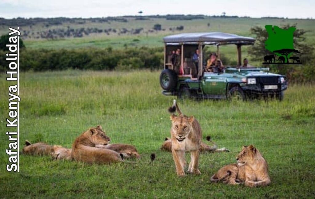 Authentic African Style Safari in Kenya Authentic African Style Safari in Kenya