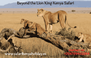 Beyond the Lion King Kenya Safari