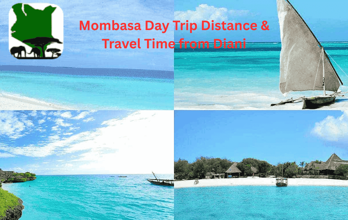 Mombasa Day Trip Distance Travel Time from Diani mombasa-day-trip-distance-and-travel-time-from-diani