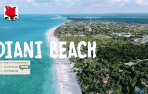mombasa-excursion-tour-from-diani