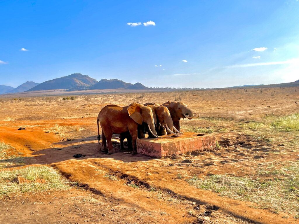 watamu tours safaris 1 Watamu tour prezzi