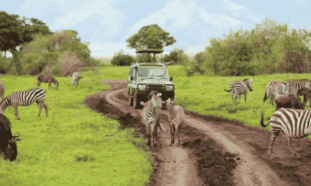 5 Things to Pack for a Kenya Safari 2 5-things-to-pack-for-a-kenya-safari