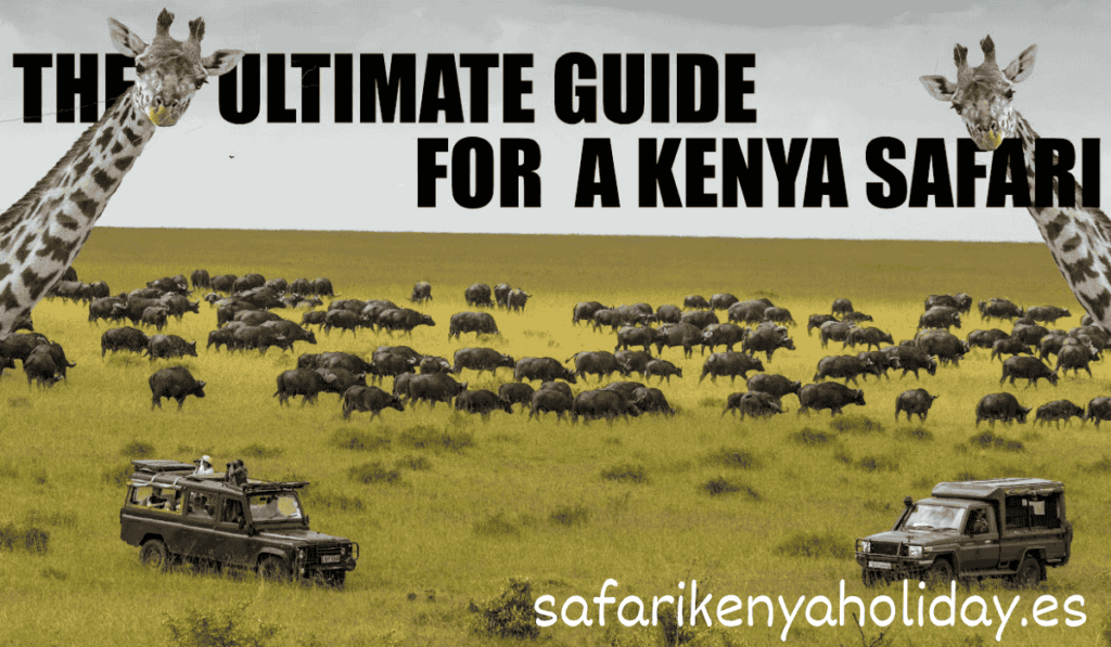Masai Mara safari in Kenya for Italian travelers with Italian speaking guide 1 safari-in-kenya-in-italian-2026-ultimate-travel-guide