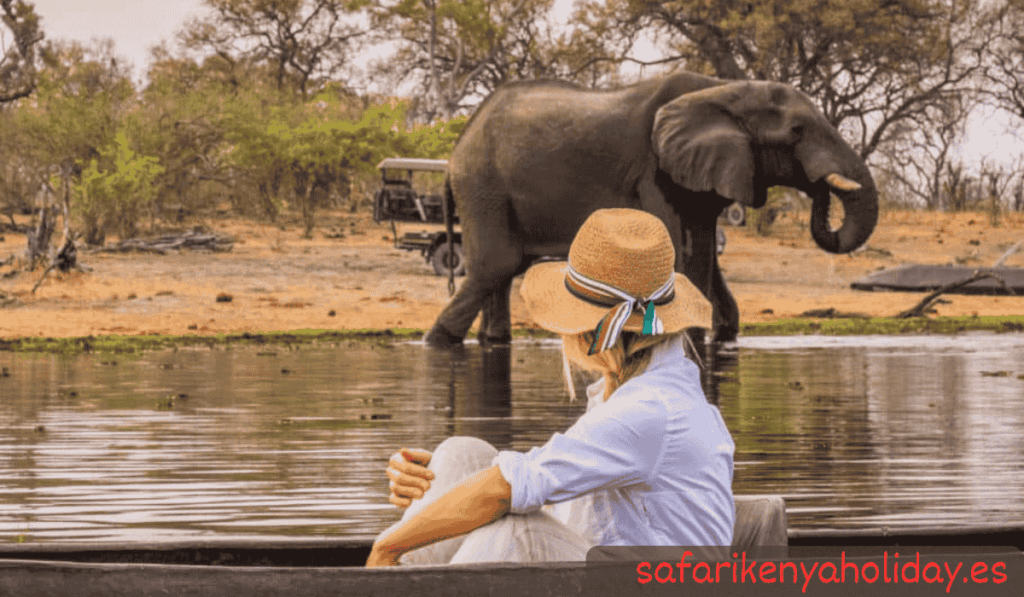 Private Safaris Flexibility and Personalization private-safaris-flexibility-and-personalization