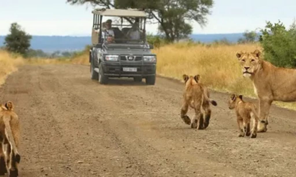 What NOT to Pack for a Kenya Safari what-not-to-pack-for-a-kenya-safari
