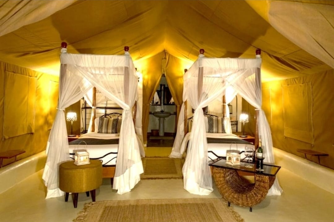 WhatsApp Image 2026 03 11 at 12.56.52 4 Luxury Beyond the Lion King Kenya Safari Experience