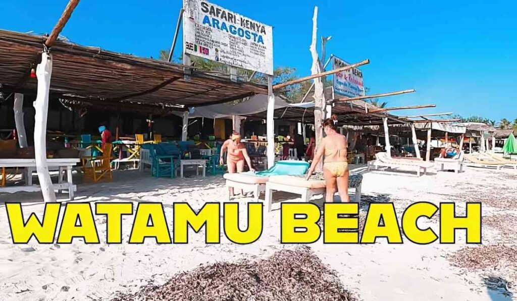 m bravo-watamu-beach-excursions