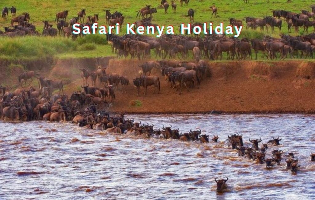 masai mara great migration safari in kenya The Great Migration Safari in Kenya