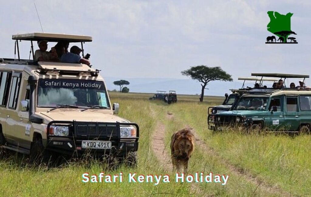 premier lion safaris in kenya by safari kenya holiday Premier Lion Safaris in Kenya