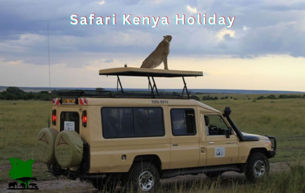 real simba safari in kenya by safari kenya holiday real simba safari in kenya by safari kenya holiday