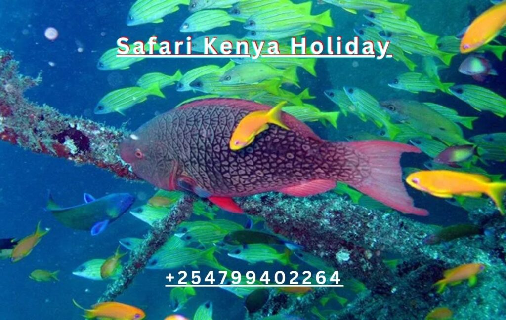 watamu beach water life safari kenya holiday Exploring the Hidden Gems of Watamu