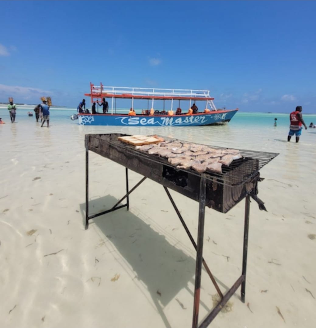 WhatsApp Image 2026 02 21 at 15.14.53 Watamu dolphin watching tours
