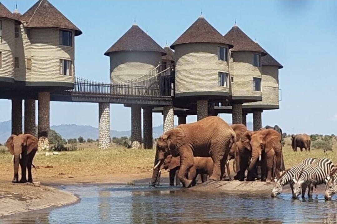 Luxury Kenya Safari Tours Worth Booking